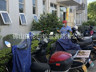 大瀝廠區(qū)殺蟲(chóng)滅蚊工程